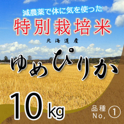 (1)令和6年産米 減農薬栽培 ゆめぴりか10kg