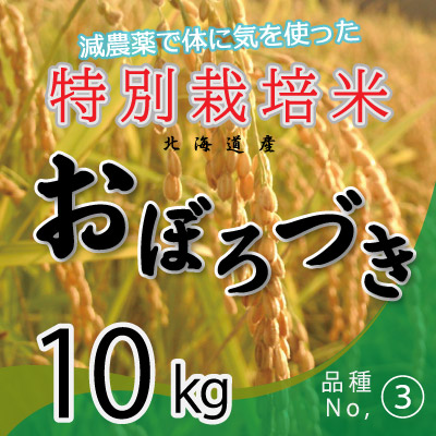 (3)令和6年産米 減農薬栽培 おぼろづき10kg