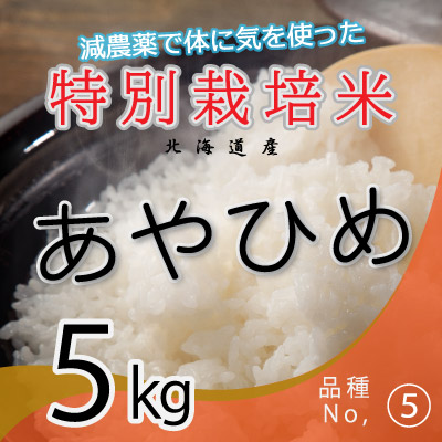 (5)令和6年産米 減農薬栽培 あやひめ5kg