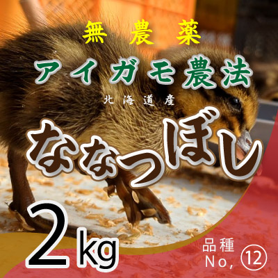 (12)令和6年産米 無農薬栽培アイガモ農法 ななつぼし2kg