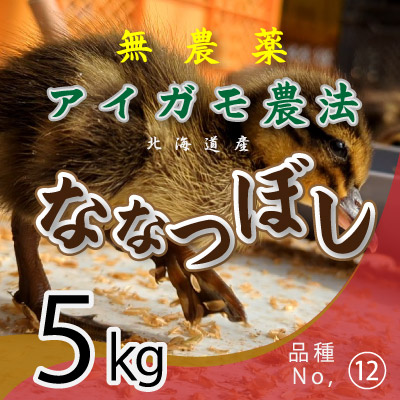 (12)令和6年産米 無農薬栽培アイガモ農法 ななつぼし5kg