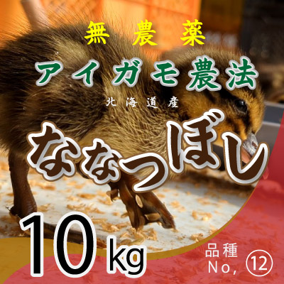 (12)令和6年産米 無農薬栽培アイガモ農法 ななつぼし10kg