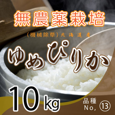 (13)令和6年産米 無農薬栽培 ゆめぴりか10kg