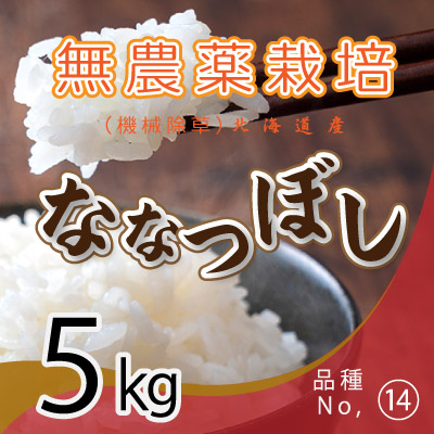 (14)令和6年産米 無農薬栽培 ななつぼし5kg