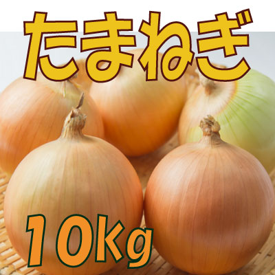 たまねぎ10ｋｇ
