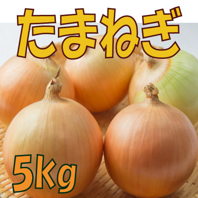 たまねぎ5ｋｇ