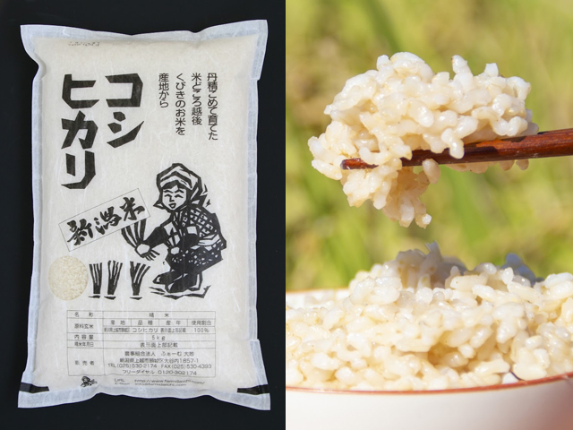 【新米 数量限定販売】無農薬米 新潟産コシヒカリ 玄米 令和7年産  5kg