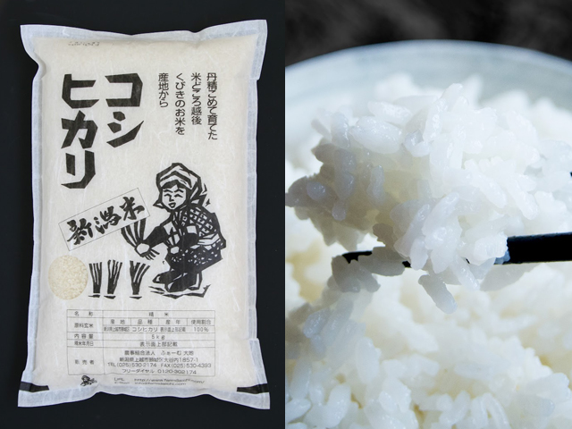 【新米 数量限定販売】無農薬米 新潟産コシヒカリ 白米 令和6年産 5kg