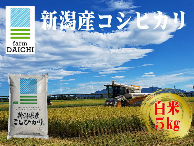 農家直送！新潟産コシヒカリ 白米 5kgの販売