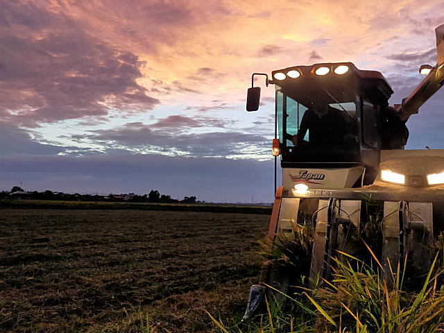 新潟県産コシヒカリ 5kgの販売