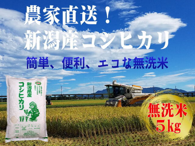 農家直送！新潟産コシヒカリ 無洗米 5kgの販売