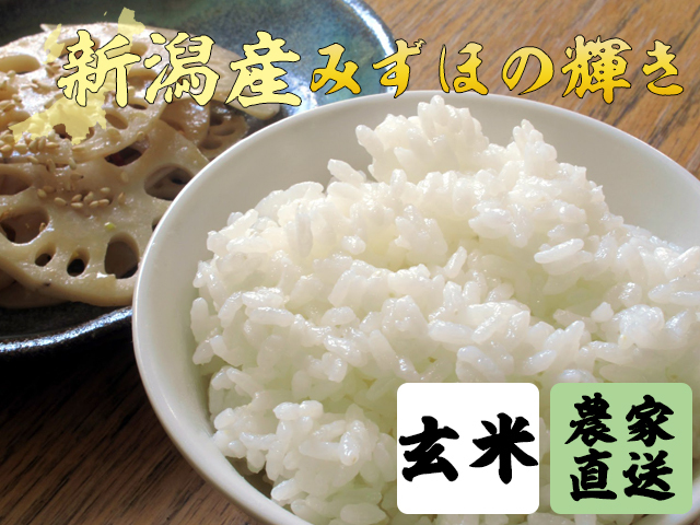 【新潟産みずほの輝き 玄米】新米 農家直送 令和6年産 ５kg