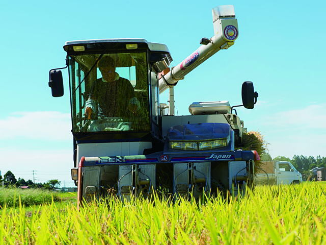 無農薬米 新潟産コシヒカリ 無洗米 5kg 令和7年産の新米【数量限定販売