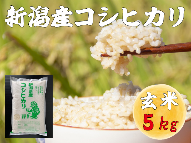 【新潟産コシヒカリ 玄米】新米 農家直送 令和6年産 ５kg