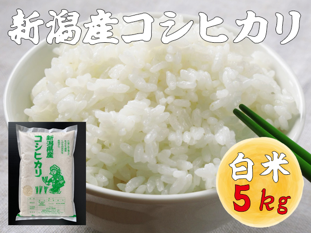 【新潟産コシヒカリ 白米】新米 農家直送 令和6年産 ５kg