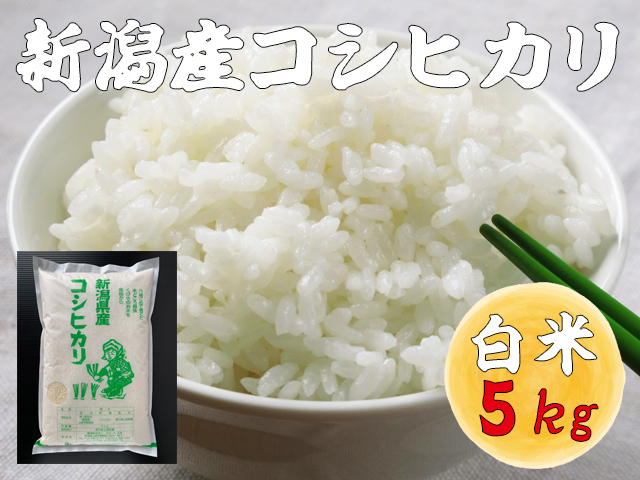 【新潟産コシヒカリ 白米】新米 農家直送 令和5年産 ５kg