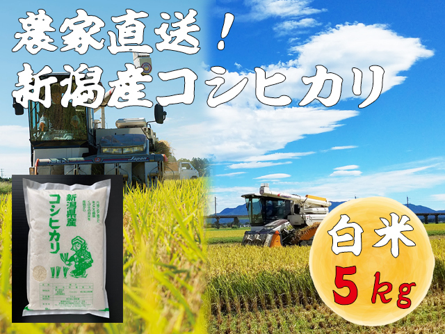 新潟産コシヒカリ 白米】新米 農家直送 令和6年産 5kg | お米通販  
