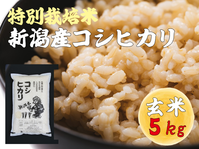 【新米 特別栽培米 新潟産コシヒカリ 玄米】 減農薬で育てた新潟県認証米 令和5年産 5kg