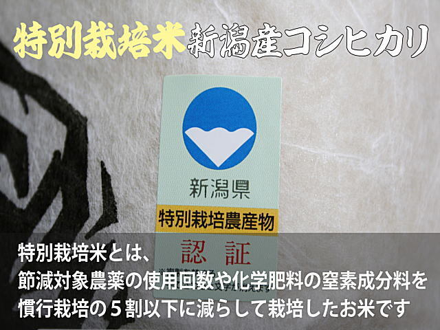 特別栽培米コシヒカリの販売