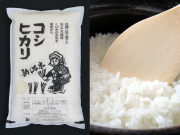無農薬米 新潟産コシヒカリ 玄米 5kg 令和7年産【数量限定販売】 | お 