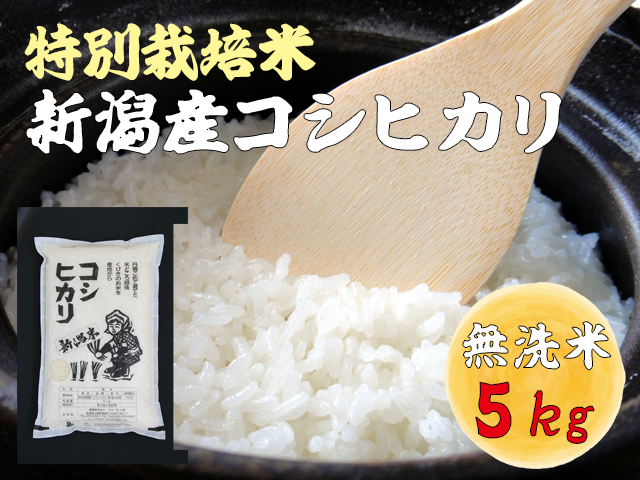 【新米 特別栽培米 新潟産コシヒカリ 無洗米】減農薬で育てた新潟県認証米 令和7年産 5kg