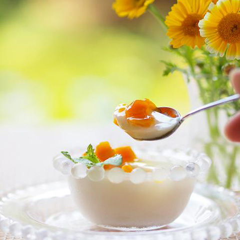 フルーツソース　マンゴーヨーグルトプリン