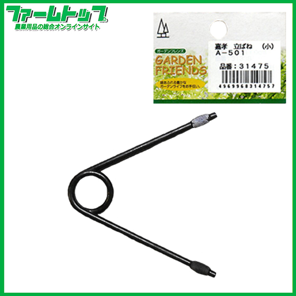 嘉孝　立ばね　小　A-501 31475