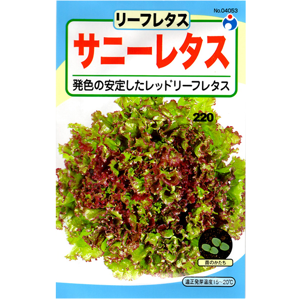 ウタネ 野菜の種 種子 リーフレタス サニーレタス 種 レターパックライト発送 全国一律370円 農家のお店 ファームトップ 農機具 農薬 肥料 農業資材 ガーデニング用品の通販 ウタネ 野菜の種 種子 リーフレタス サニーレタス 種 レターパックライト発送 全国一律370円 農家のお店 ファームトップ 農機具 農薬 肥料 農業資材 ガーデニング用品の通販