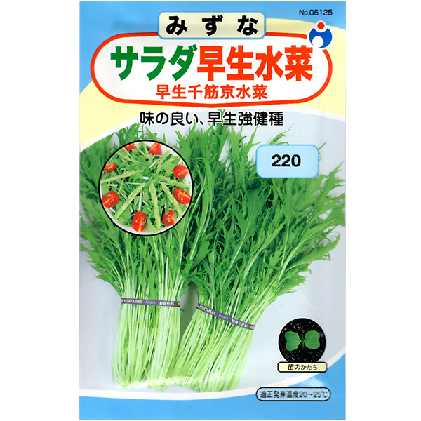 野菜の種 種子 みずな サラダ早生水菜 種 レターパックライト発送 全国一律370円 農家のお店 ファームトップ 農機具 農薬 肥料 農業資材 ガーデニング用品の通販