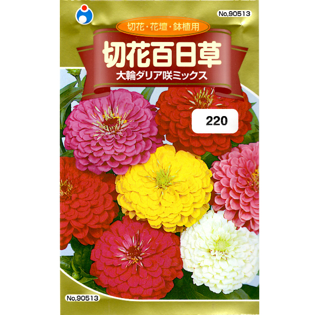 ウタネ 花の種 種子 百日草 切花百日草 大輪ダリア咲ミックス 種 レターパックライト発送 全国一律370円 農家のお店 ファームトップ 農機具 農薬 肥料 農業資材 ガーデニング用品の通販
