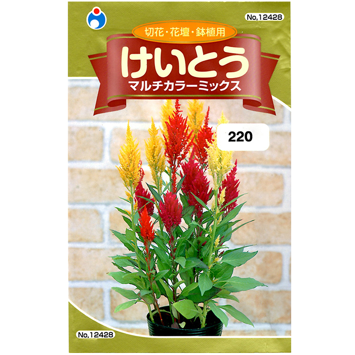 ウタネ 花の種 種子 ケイトウ けいとう マルチカラーミックス 種 レターパックライト発送 全国一律370円 農家のお店 ファームトップ 農機具 農薬 肥料 農業資材 ガーデニング用品の通販