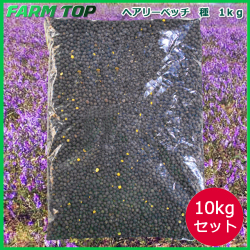 緑肥　ヘアリーベッチ　ナモイ　種　1ｋｇ×10袋セット