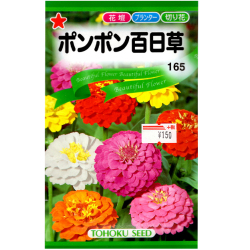 花の種 種子 百日草 ポンポン百日草 種 レターパックライト発送 全国一律370円 農家のお店 ファームトップ 農機具 農薬 肥料 農業資材 ガーデニング用品の通販