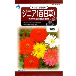 ウタネ 花の種 種子 百日草 ジニア百日草 カクタス咲特選混合 種 レターパックライト発送 全国一律370円 農家のお店 ファームトップ 農機具 農薬 肥料 農業資材 ガーデニング用品の通販