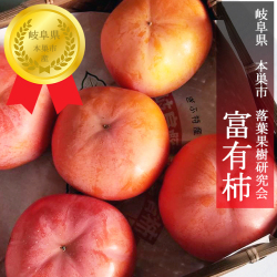 【富有柿　予約販売　11月下旬～12月下旬の発送予定です】岐阜県本巣市　落葉果樹研究会　契約農家様より直送　適熟富有柿【秀品】【3L～4L　9～10個】
