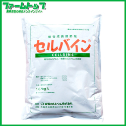 【植物調整剤】セルバイン水溶剤1.67ｋｇ　温州みかん浮皮軽減剤