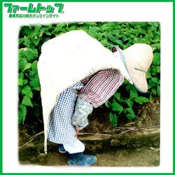 国内産いぐさ使用　日よけ背負いごも　60×90cm　背負い日よけ　日本製　農作業