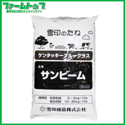 芝の種　ケンタッキーブルーグラス　サンビーム　緑化用　1kg　法面保護用