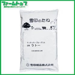 芝の種　ケンタッキーブルーグラス　ラトー　緑化用　1kg　法面保護用