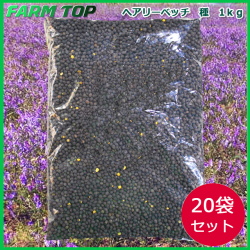 緑肥　ヘアリーベッチ　ナモイ　種　1ｋｇ×20袋セット　