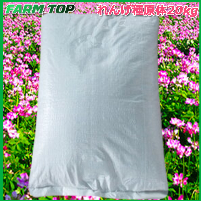 れんげ草（レンゲソウ）の種 20kg[タネ][9～12月まき 緑肥・窒素固定・景観