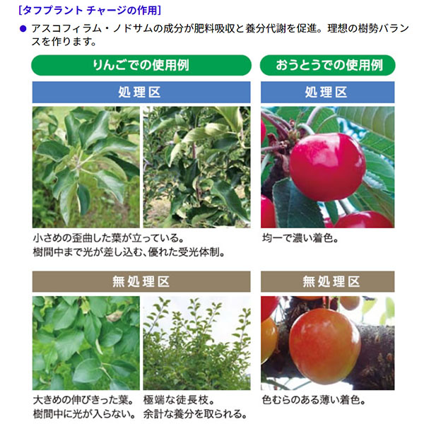 機能性海藻エキス入り葉面散布用肥料 タフプラントチャージ 1L