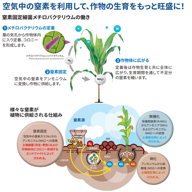 ユートリシャ　　4袋 バイオスティミュラント資材 ユートリシャN 333g