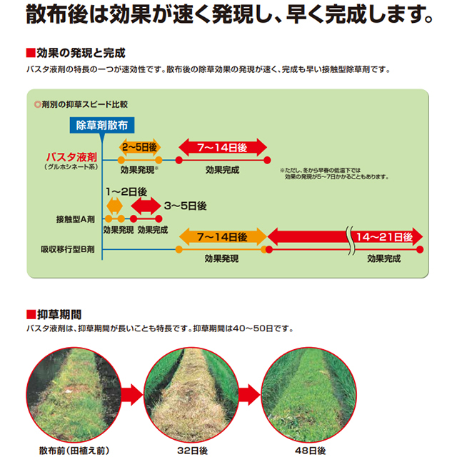 除草剤】バスタ液剤 5L お昼12：00までのご注文で当日発送！【有効期限