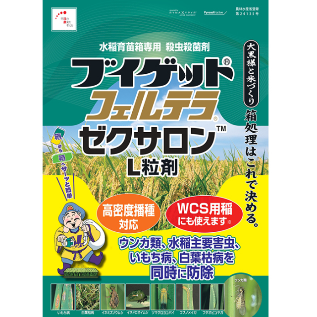 フェルガード100M 柔らかかっ 認知症 予防 緑茶 記憶力 120粒x2 フェルラ酸