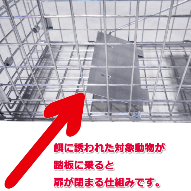 スモールサイズ 踏板式捕獲器 子猫 イタチ 当店にて組立後発送