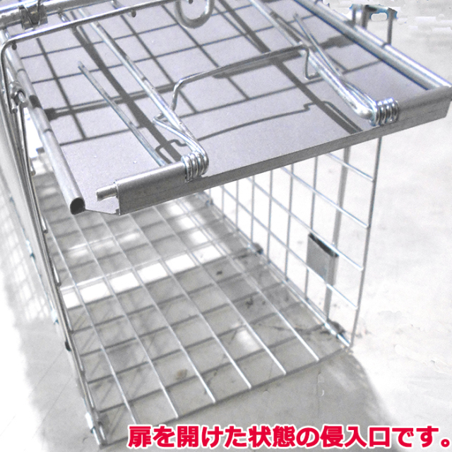 スモールサイズ 踏板式捕獲器 子猫 イタチ 当店にて組立後発送