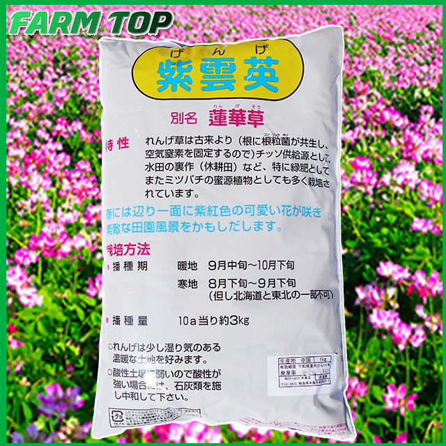 れんげ 2点おまとめ Cyber LED KAWASAKI Ninja ZX-25R カスタムテールランプ / ninja250