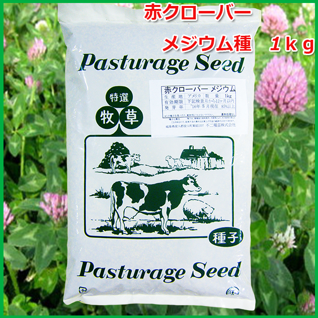 雑草の抑制に!!】 緑肥 赤クローバー メジウム 種 1kg【休耕田などの
