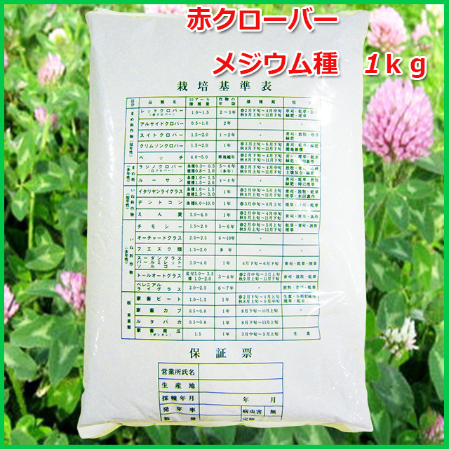 アカクローバー メジウム 1kg 10袋セット 赤クローバー アカクローバー メジウム 1kg 10袋セット 赤クローバー